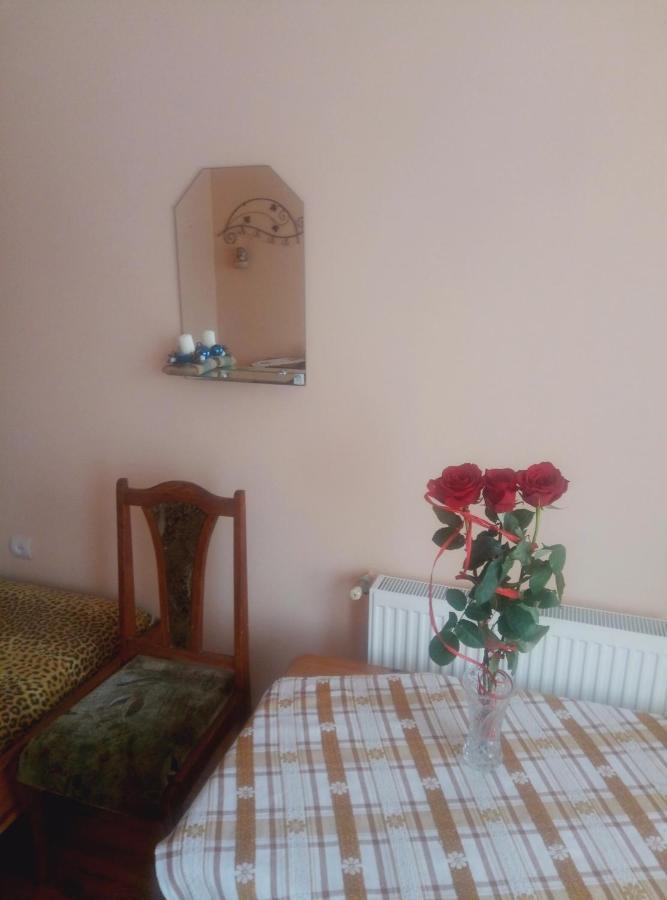 Park House Hotel Pocsajiv Kültér fotó